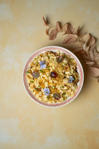 Salade de conchiglie fromagère